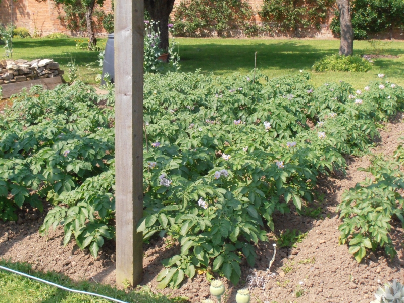 Garden Cottage & Walled Kitchen Garden